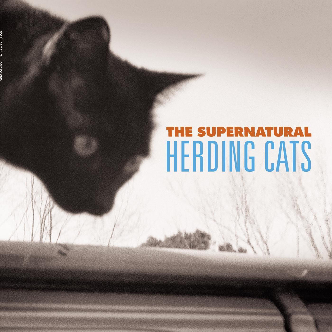 Herding Cats