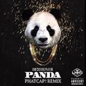  Panda (PhatCap! Remix)专辑