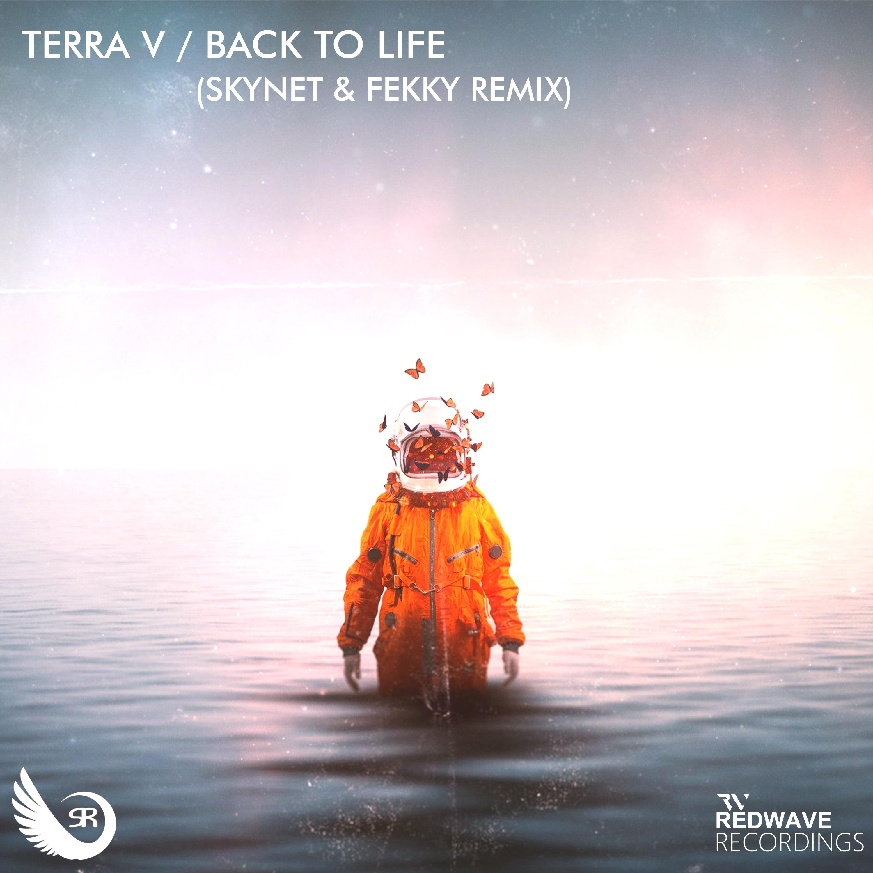 Back to Life (SKYNET & FEKKY Remix)
