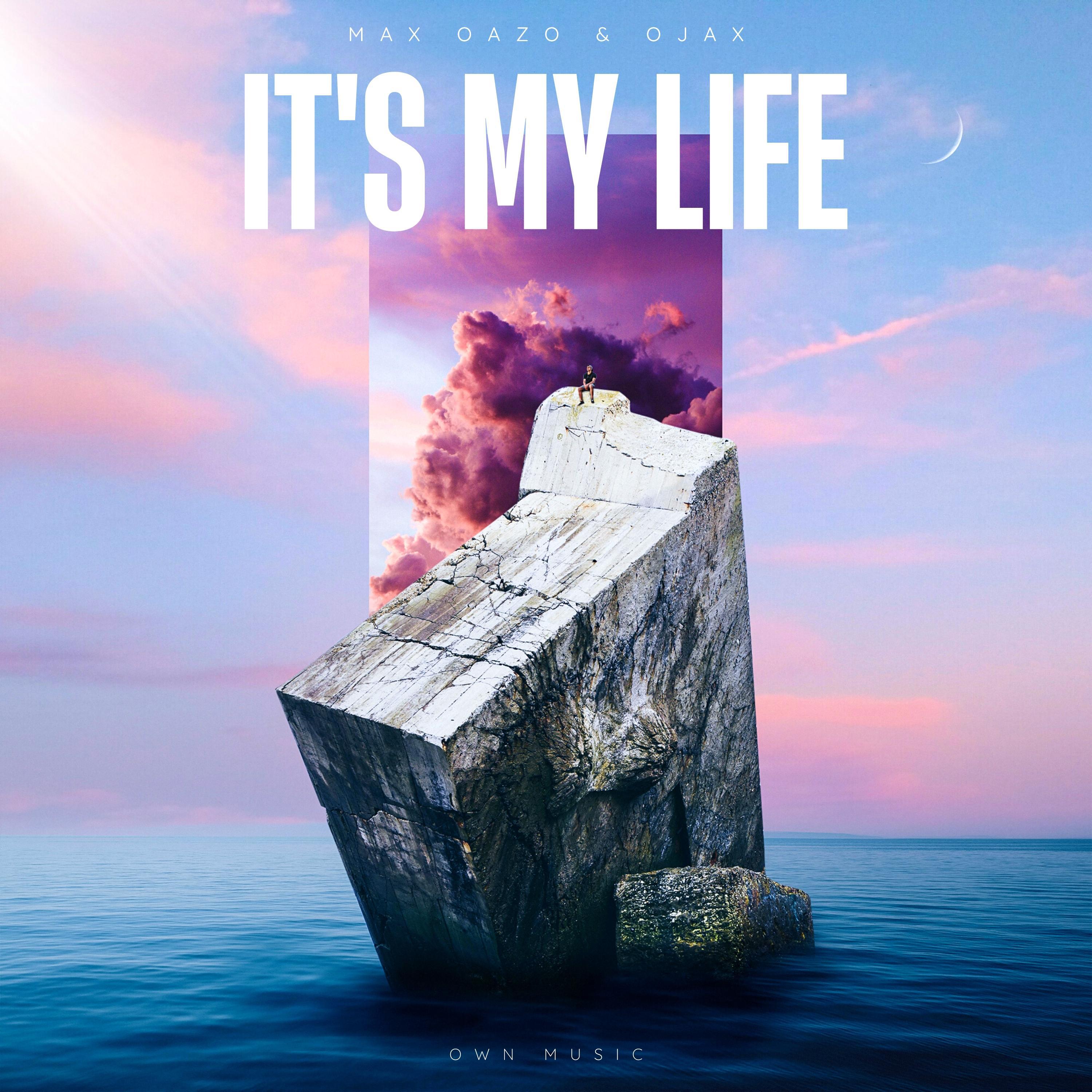 It's My Life (Dance Edit)专辑