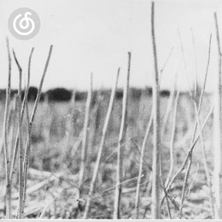 氛围科技舞曲精选|从《Petrichor》听起