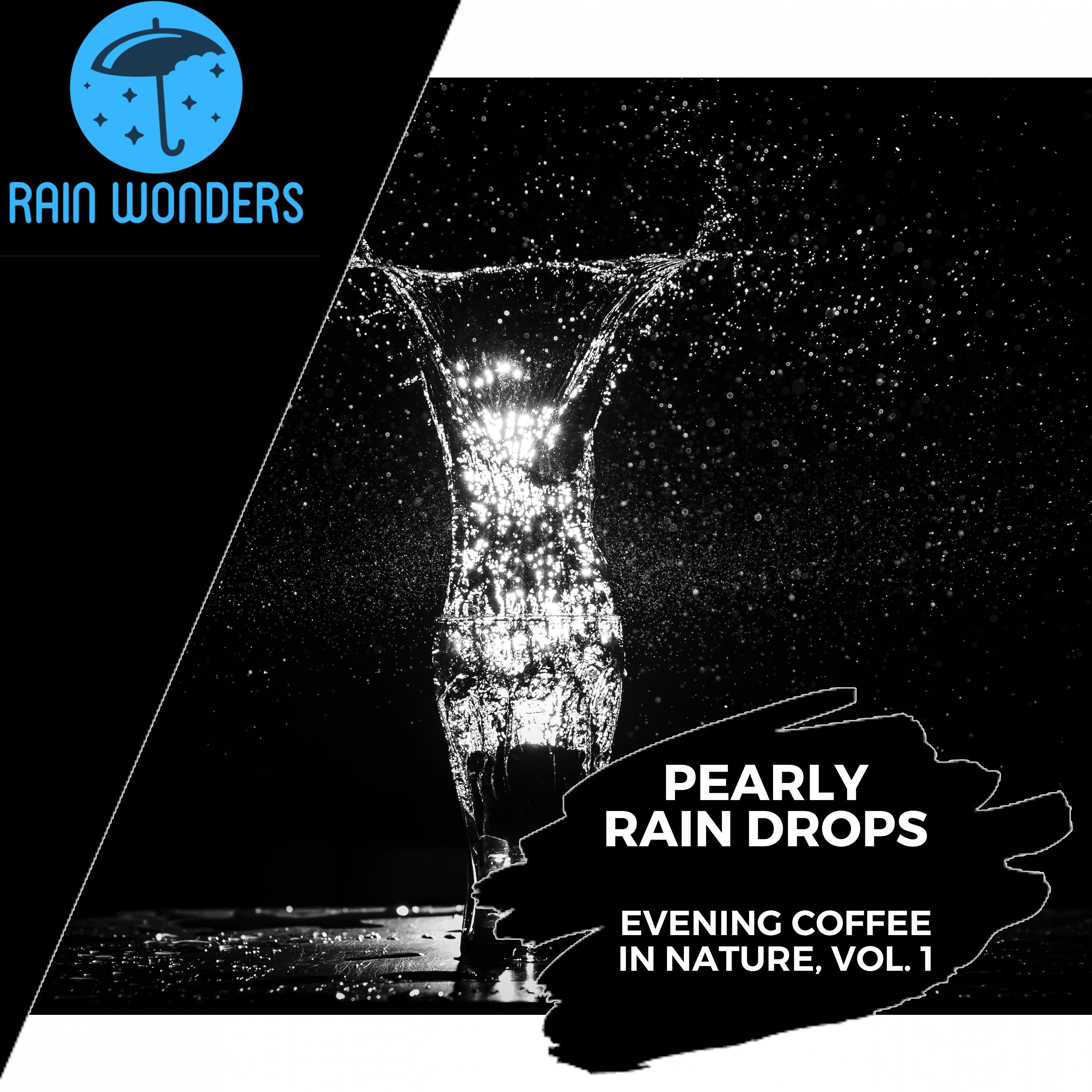 Tropical Raindrop Sounds - Holy Quetzal Birds