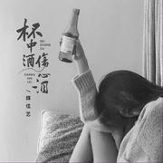 杯中酒伤心泪 (DJ沈念版伴奏)