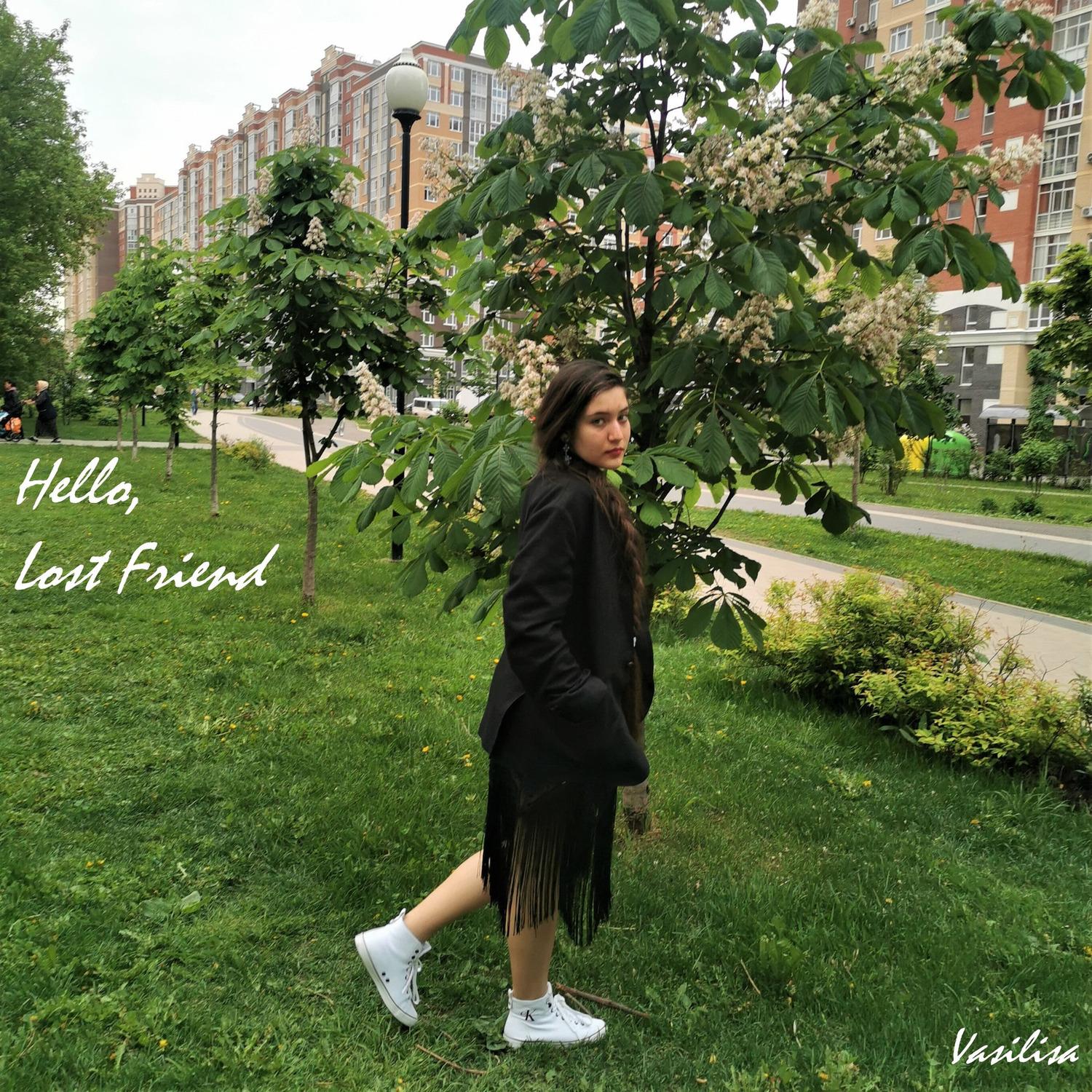 Hello, Lost Friend