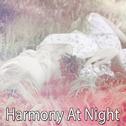 Harmony At Night专辑