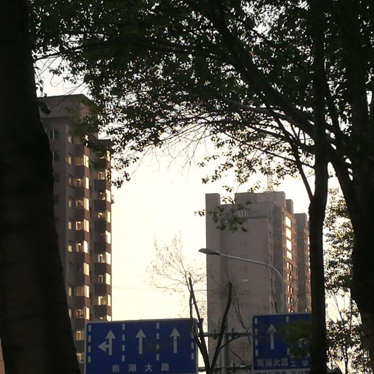 流行歌曲 | 真的会有小笨蛋哭完后继续爱你