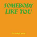 Somebody Like You