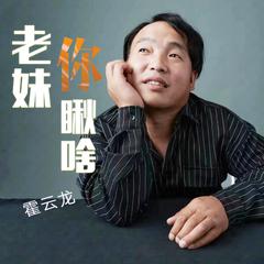 老妹你瞅啥 (Dj何鹏版)