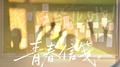 青春信笺专辑