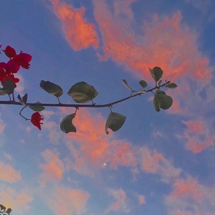 如果事与愿违，那一定另有安排 | 在线播放 | 网易云音乐