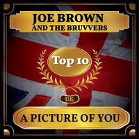 A Picture Of You - Joe Brown (karaoke)
