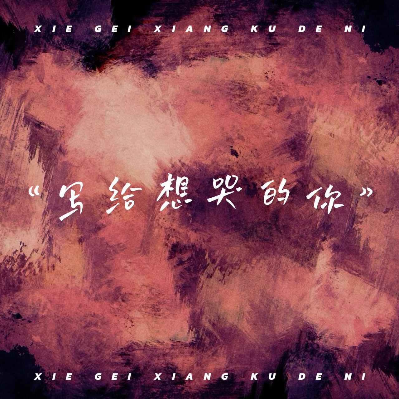 写给想哭的你（DJ版）