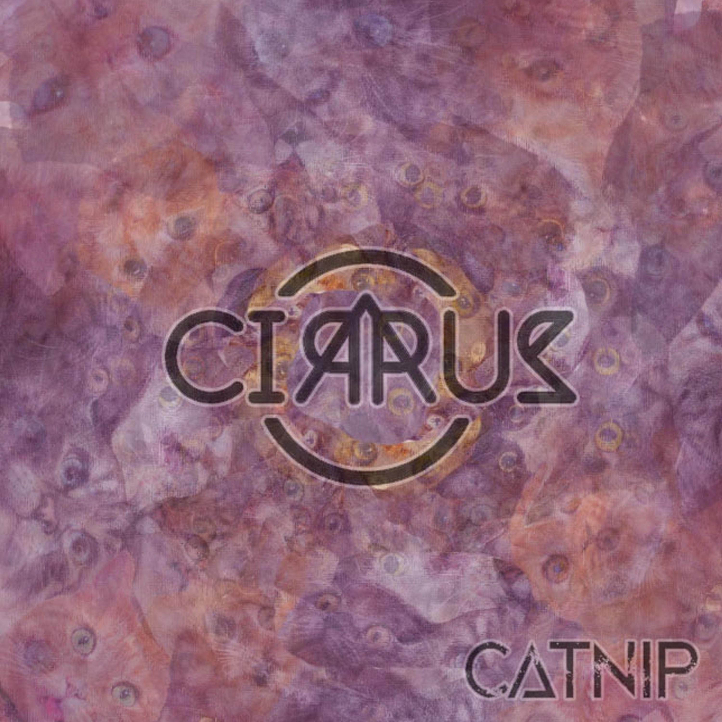 Catnip