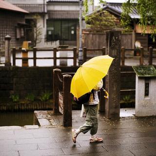 雨声集 | 你的快乐来自每场雨