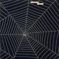 The SPIDER