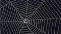 The SPIDER专辑