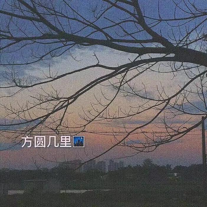 男孩（翻自 梁博）