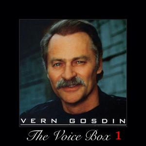 Vern Gosdin - Do You Believe Me Now (Karaoke Version) 带和声伴奏 （升8半音）