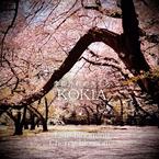 KOKIA《季節外れのさくら吉他谱》降A调_旋律清新脱俗