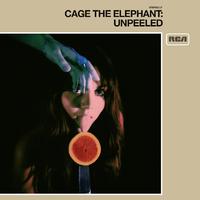 Cigarette Daydreams - Cage the Elephant (karaoke) 带和声伴奏
