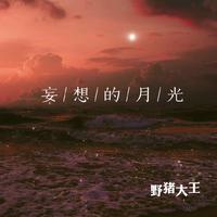 妄想的月光（麓七 原版 伴奏）