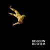 Beacon Bloom - Real
