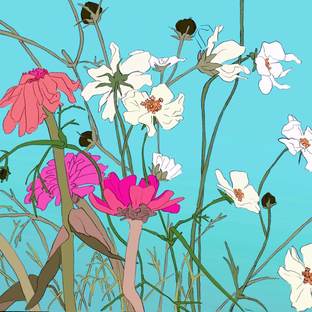 You Must Believe In Spring