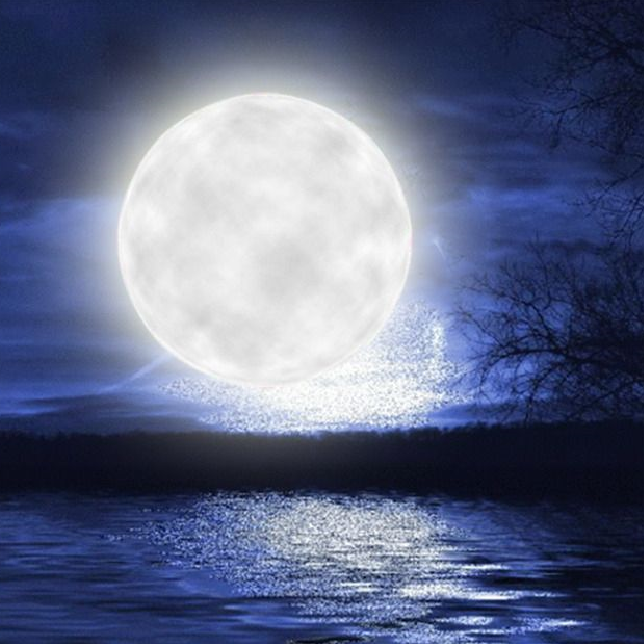 明月天涯(Cover 五音）（翻自 五音Jw）