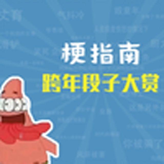 跨年段子大赏【梗指南】