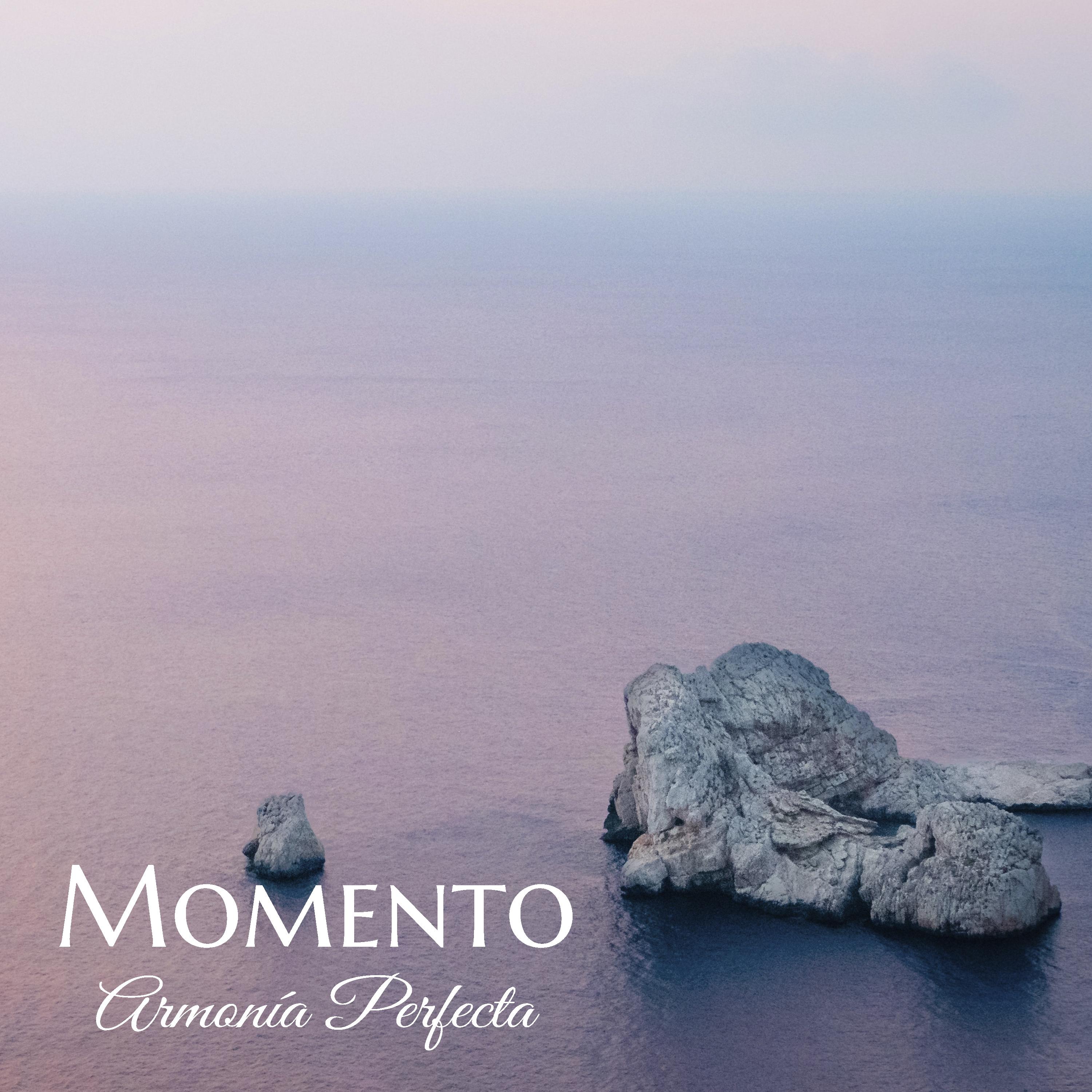 Armonía Perfecta