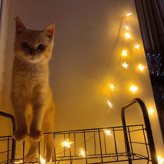 今天从《守护着我的光》听起|私人雷达