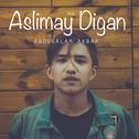 Aslimay Digan (New)  改编版专辑