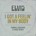 I Got a Feelin' in My Body (Tommie Sunshine & Wuki Remix)