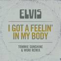 I Got a Feelin' in My Body (Tommie Sunshine & Wuki Remix)专辑
