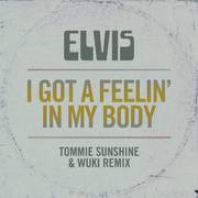 I Got a Feelin' in My Body (Tommie Sunshine & Wuki Remix)