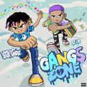 GANGS ZONE