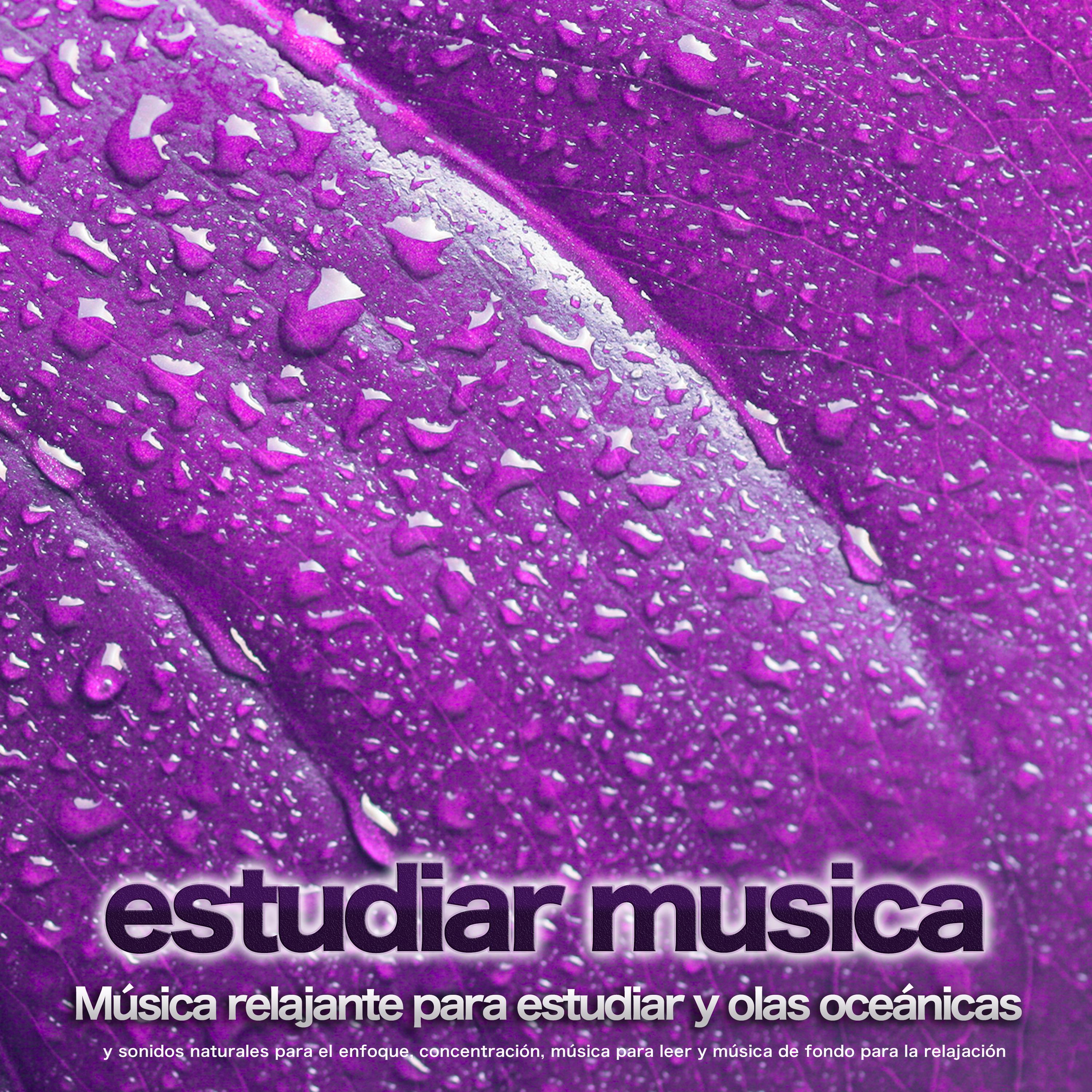 Musica para Concentrarse - Sonidos de lluvia - Música tranquila