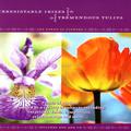 Irresistable Irises, Tremendous Tulips - The Power Of Flowers 3