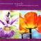 Irresistable Irises, Tremendous Tulips - The Power Of Flowers 3专辑