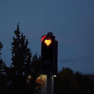 深 夜 树 洞