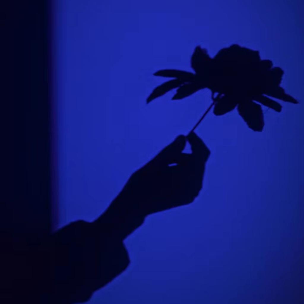 【共享心跳R&B】梅花鹿画了一朵山茶。