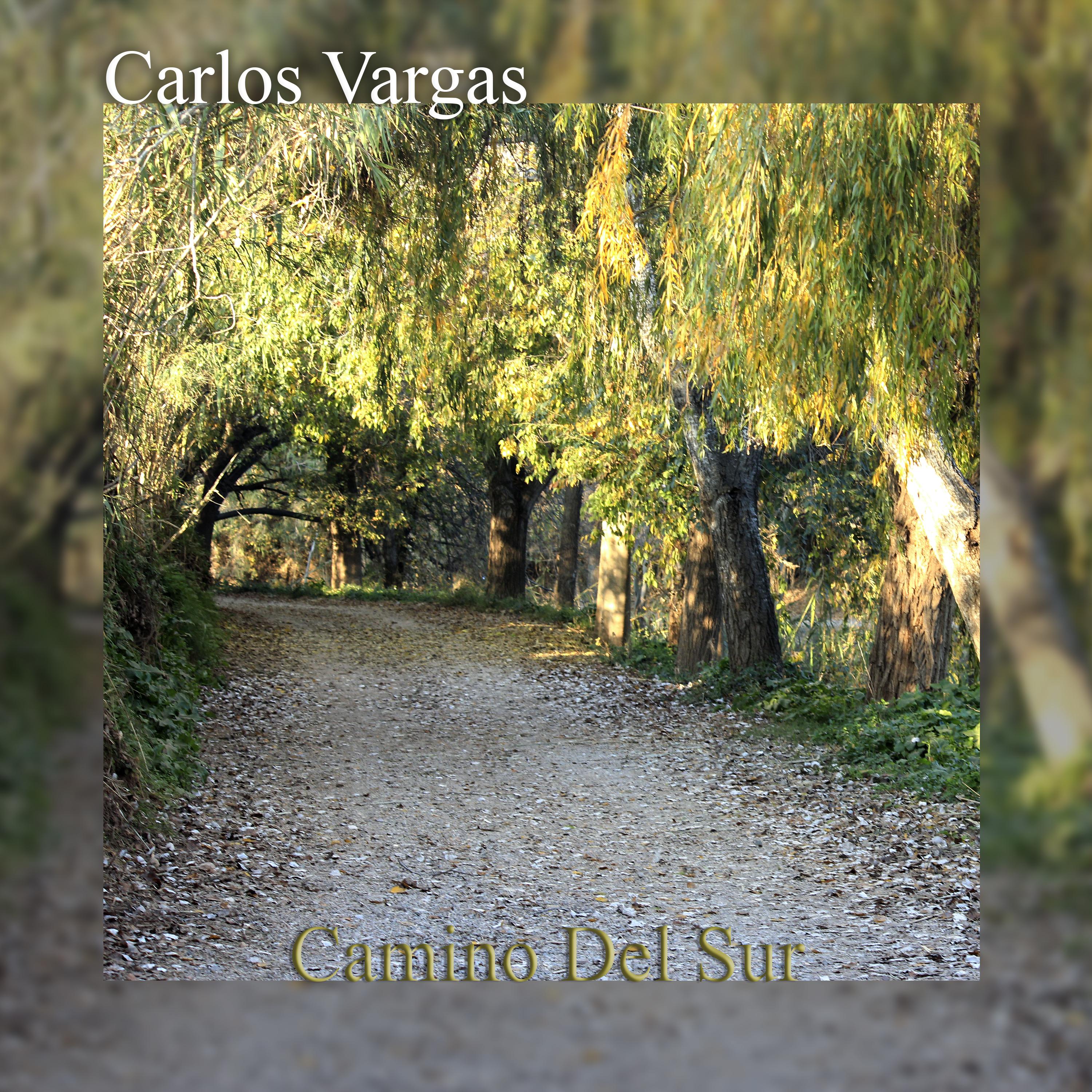 Camino del Sur