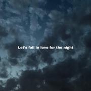 Let's Fall in Love for the Night