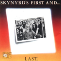 Skynyrd's First And...Last专辑