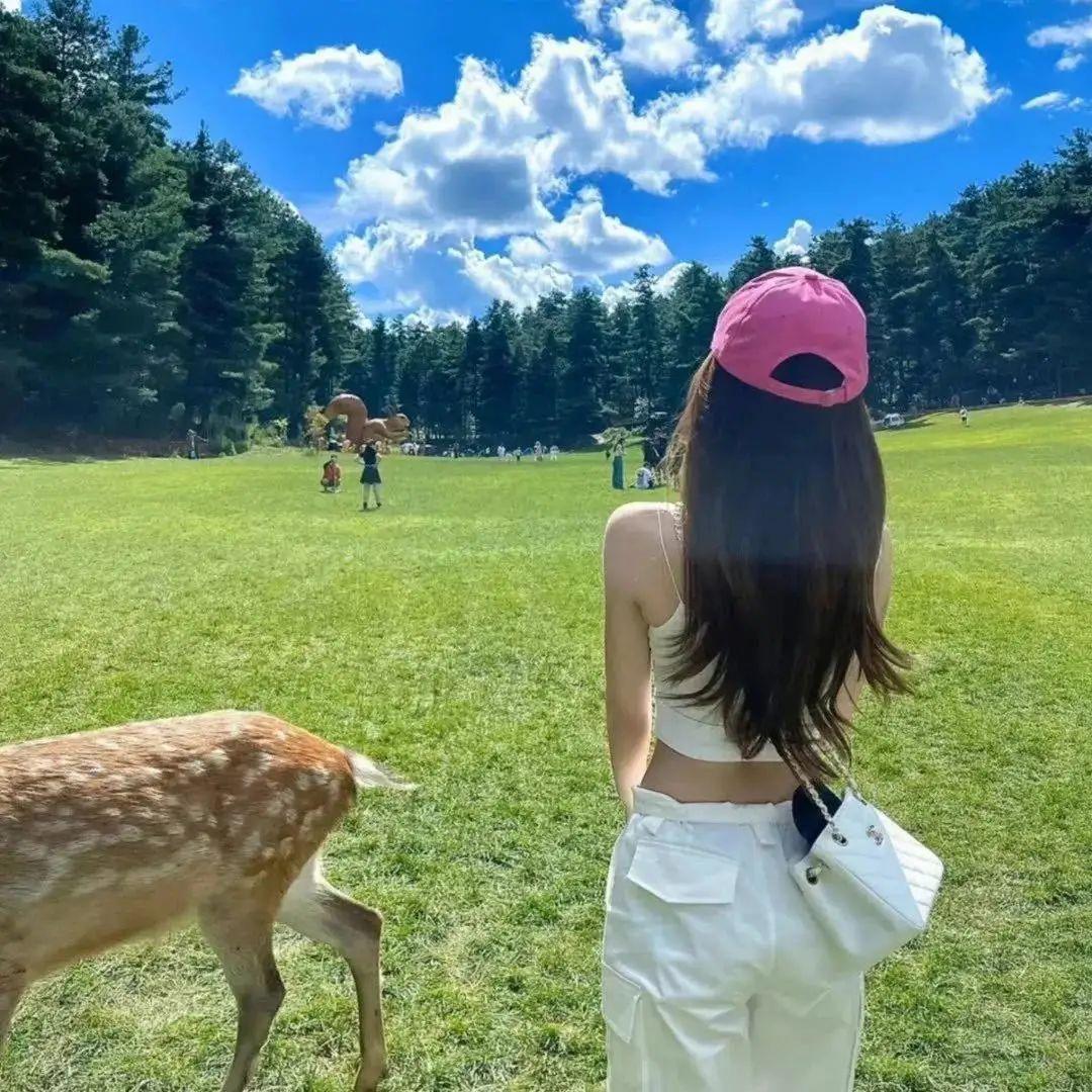 全中文国语32分钟车载串烧