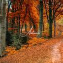 Autumn专辑