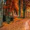 Autumn专辑