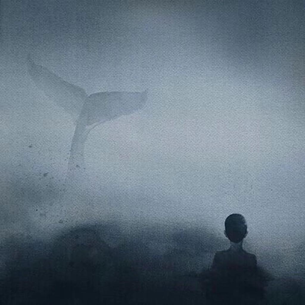 【细雨闲开卷】雨天安静后摇