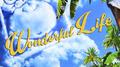 Wonderful Life 专辑