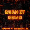 D-Pry - Burn It Down
